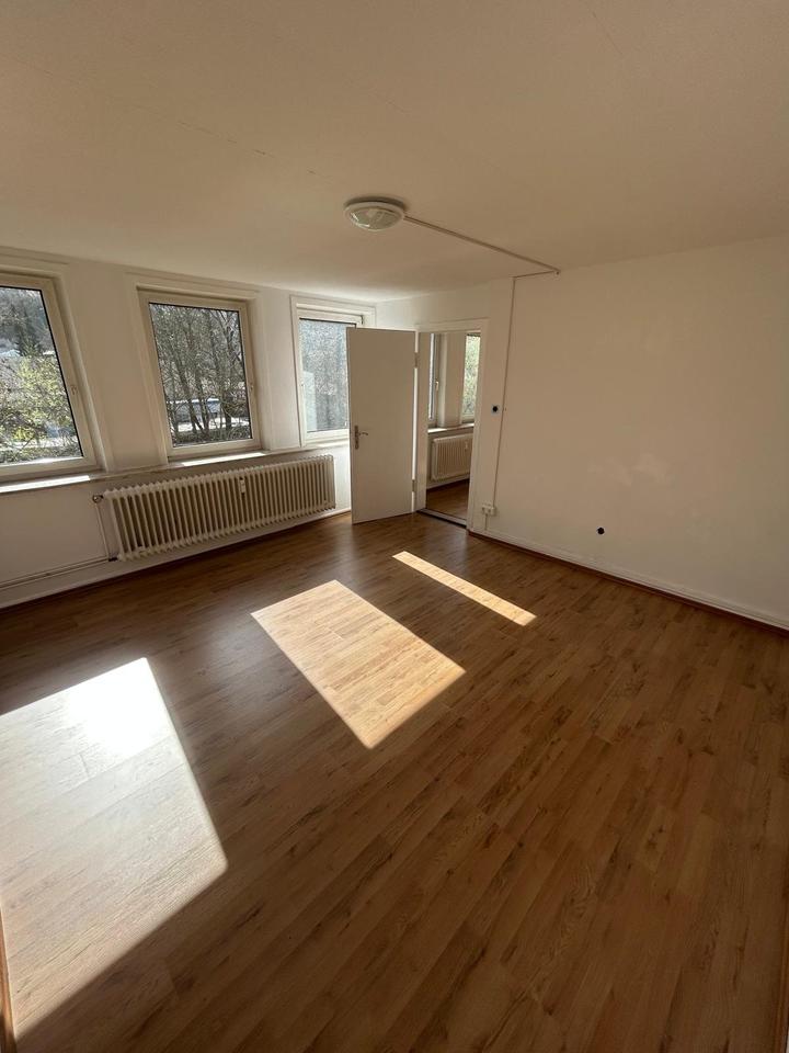 Thumbnail-Tolle 4 Zimmer Wohnung renoviert in Osterode am Harz