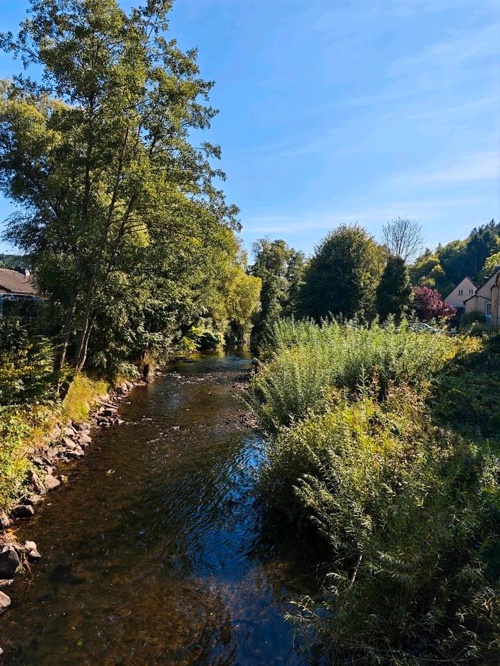 Thumbnail-Ferienwohnung Waldoase 7 Pers. 2 Hunde Terrasse
