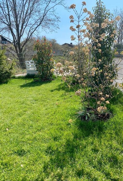 Thumbnail-Helles, freistehendes Niedrigenergiehaus m. Garten, o. Provision