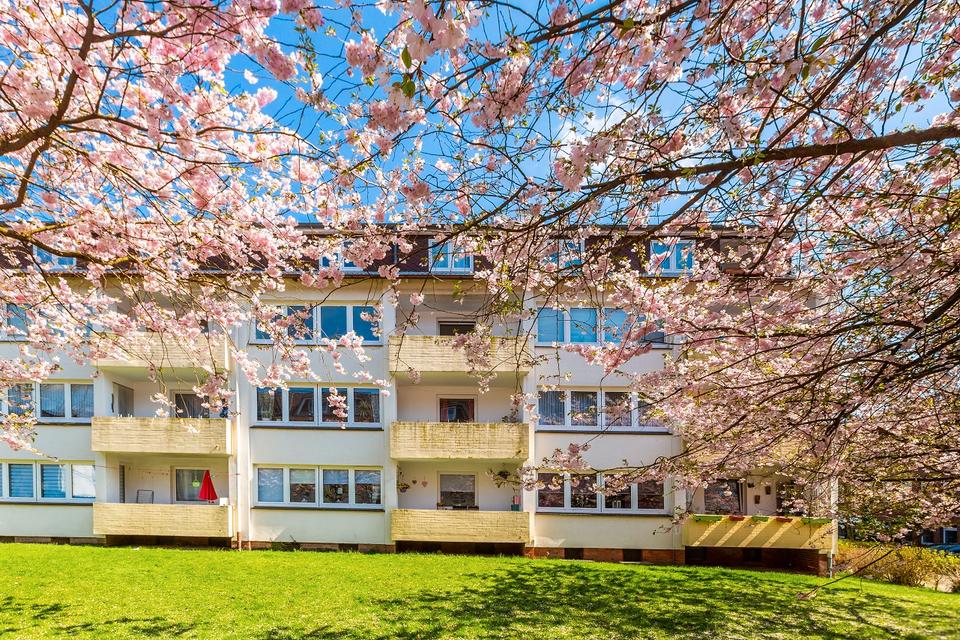 Thumbnail-renovierte 2,5 Zimmerwohnung in Buchholz - Wentzel Dr.