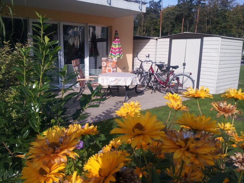 Thumbnail-2 Zi..FEWO Graal Müritz Terrasse PKW Stellpl. ab 60 €