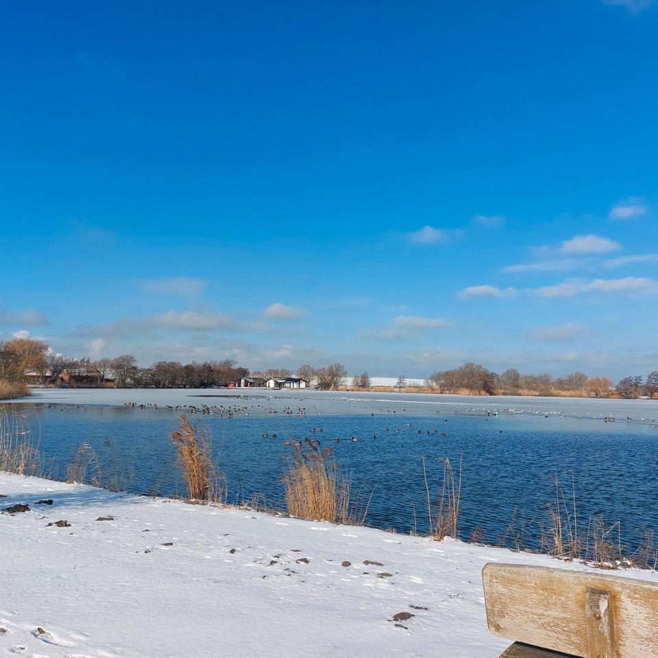 Thumbnail-Ferienhausvermietung in Eckwarderhörne