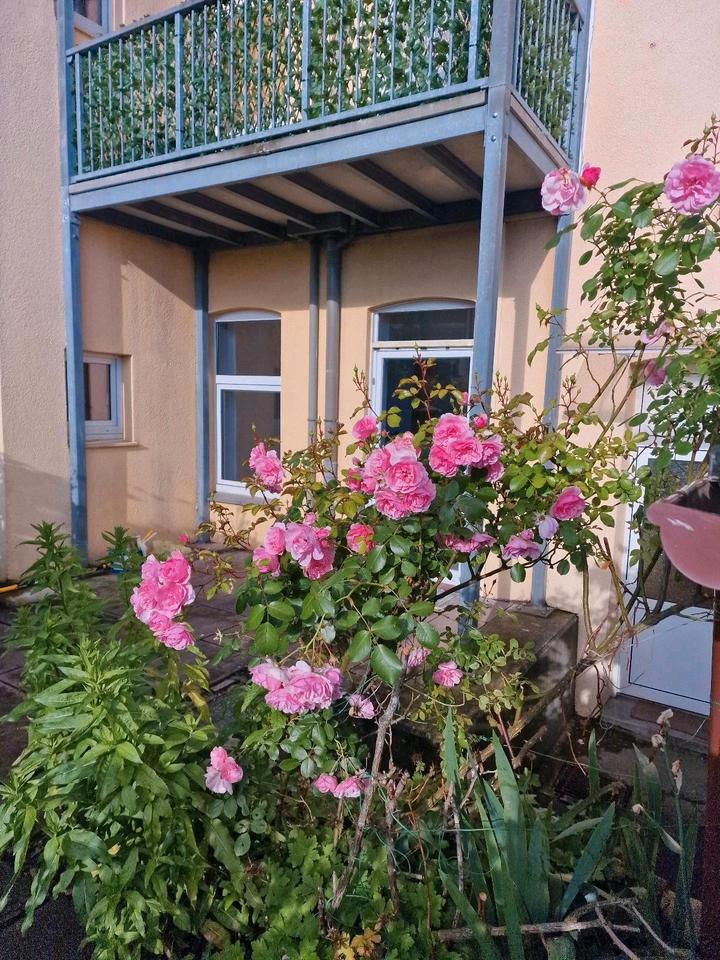 Thumbnail-Stilvolle 3Zi Wohnung mit Terrasse im Erdgeschoss