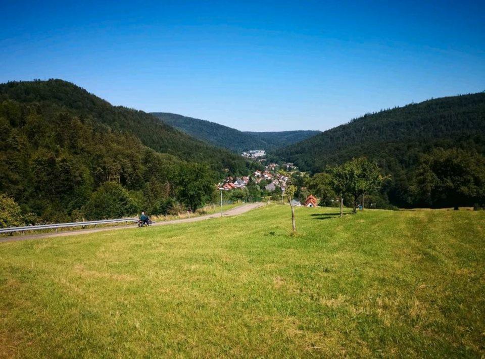 Thumbnail-3,5 Zimmerwohnung in Bad Herrenalb - Oberes Gaistal