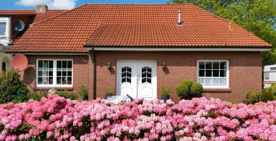 Thumbnail-Ferienwohnung Ostfriesland Nordsee mit Hund Esens