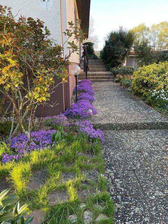 Thumbnail-Haus mit grosszügigem Grundstück Wörth am Rhein