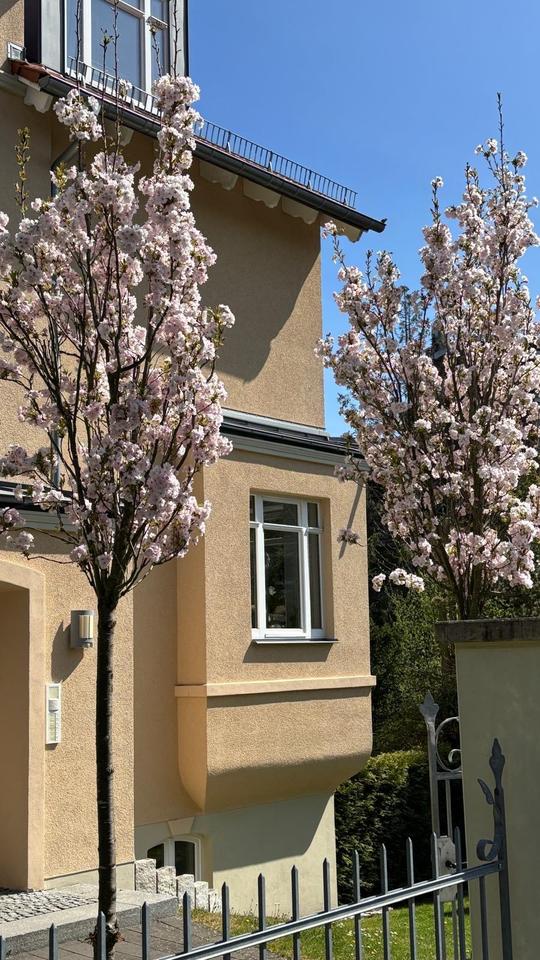 Thumbnail-Wohntraum in Kassel Wilhelmshöhe ( Mulang)
