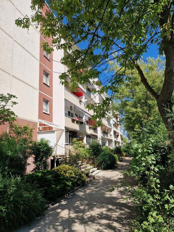 Thumbnail-kleine Wohnung in Halle-Neustadt