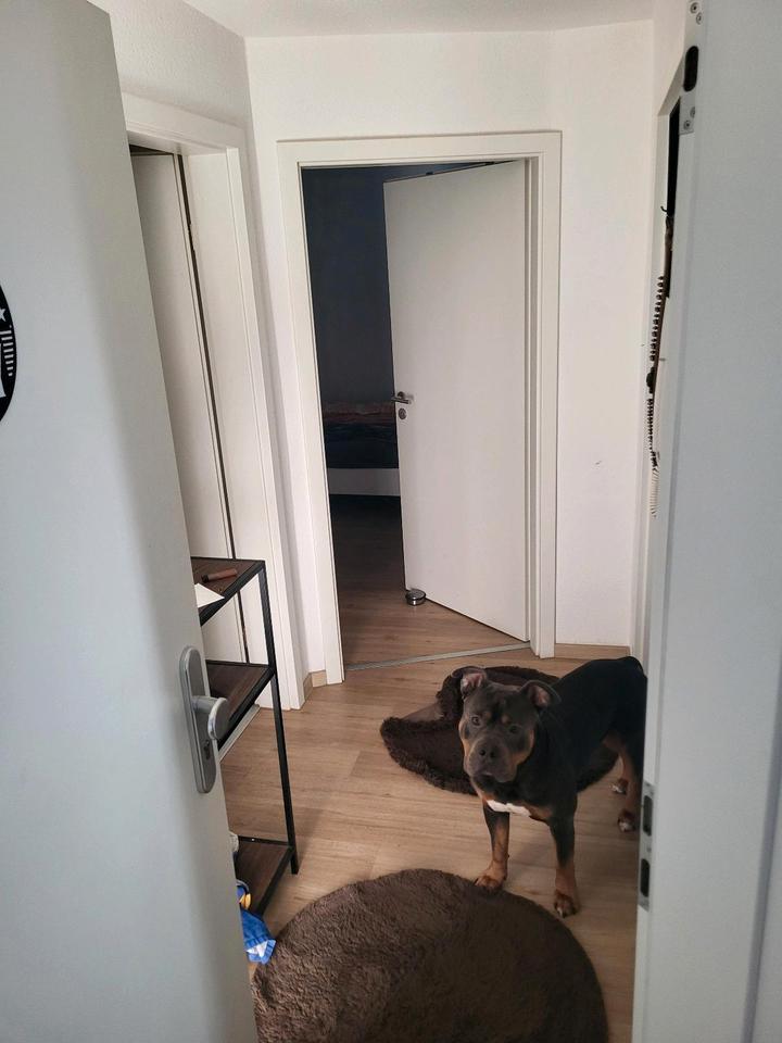 Thumbnail-2 zi Wohnung