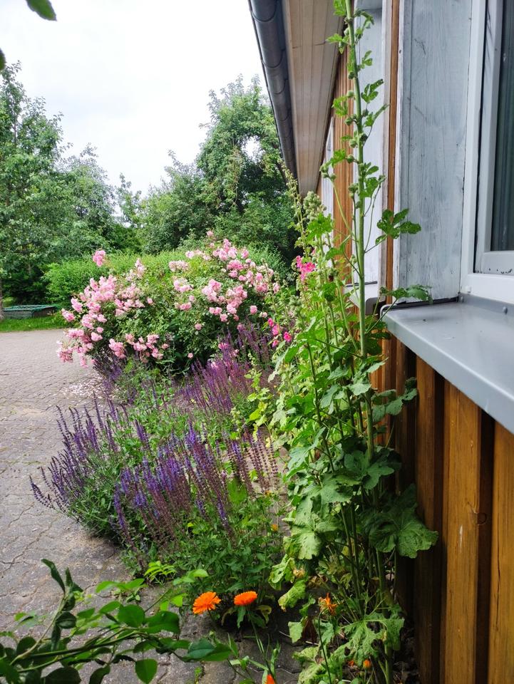 Thumbnail-Ostsee Darß Nähe Zingst Ferienhaus Nähe Barth