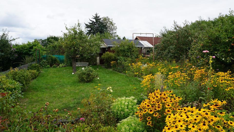 Thumbnail-Kleingarten in Gohlis abzugeben - SOFORT