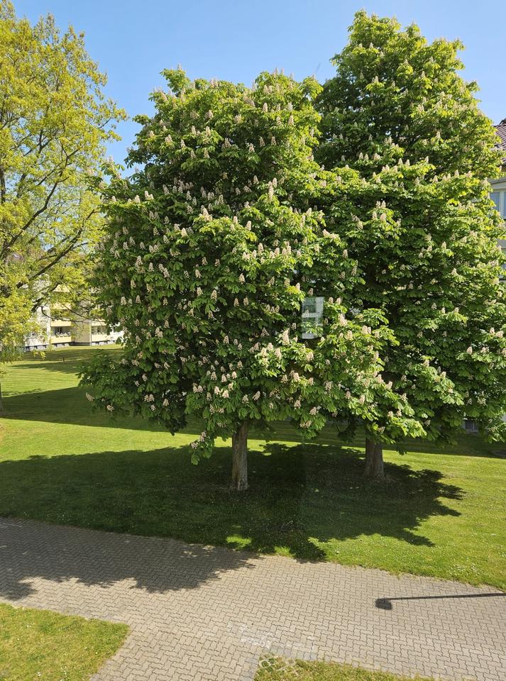 Thumbnail-Renovierte 3 Zimmer Wohnung - ruhig im Grünen - Hemmingen Arnum