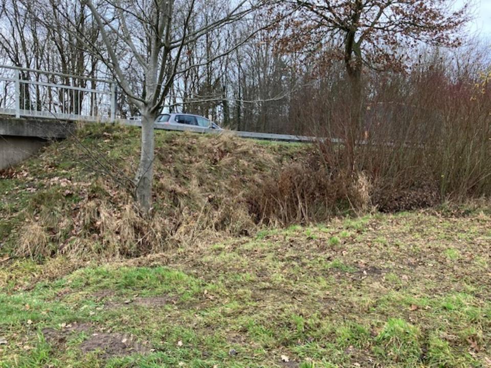 Thumbnail-49356 , Diepholz , Grundstück , Aschen , Baugebiet , Freizeit , Hobby, Ratenzhlg mgl ,