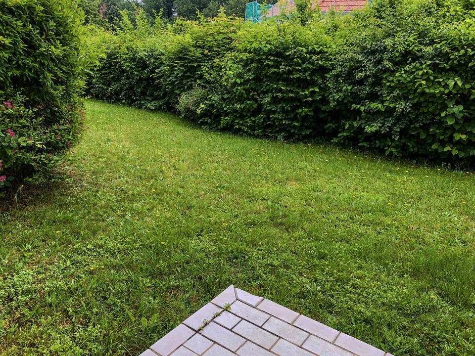 Thumbnail-Ruhige 1-Zi-Wohnung am Grünen – Terrasse, Keller, Stellplatz