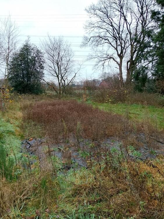 Thumbnail-Haus mit Grundstück 1704 m²