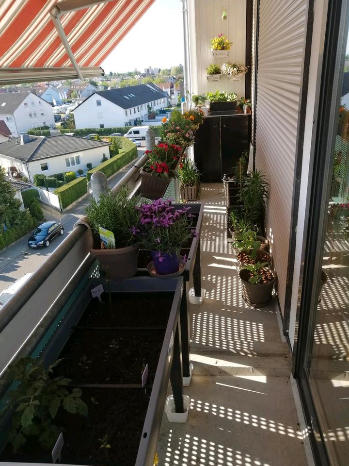 Thumbnail-2 Zi. 74qm Küche Stellplatz