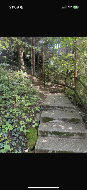 Thumbnail-Möbilierte Wohnung in Sigmarszell zu vermieten (80 qm)