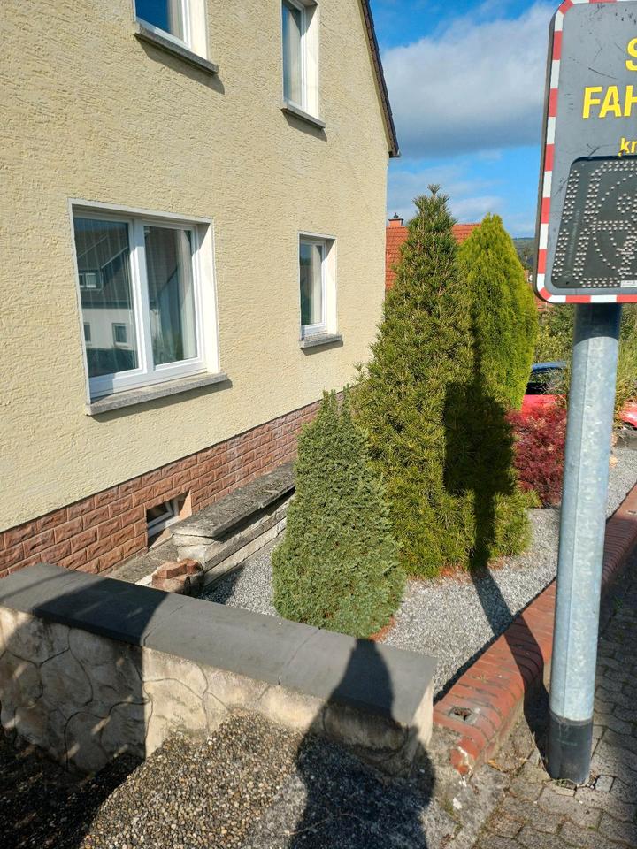 Thumbnail-Haus in Bexbach zu verkaufen Privat