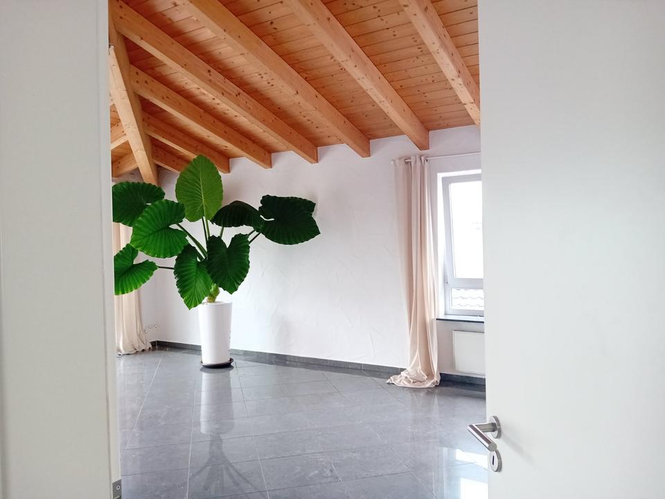 Thumbnail-Großzügige Penthouse-Wohnung (ca. 210 m²) zu vermieten