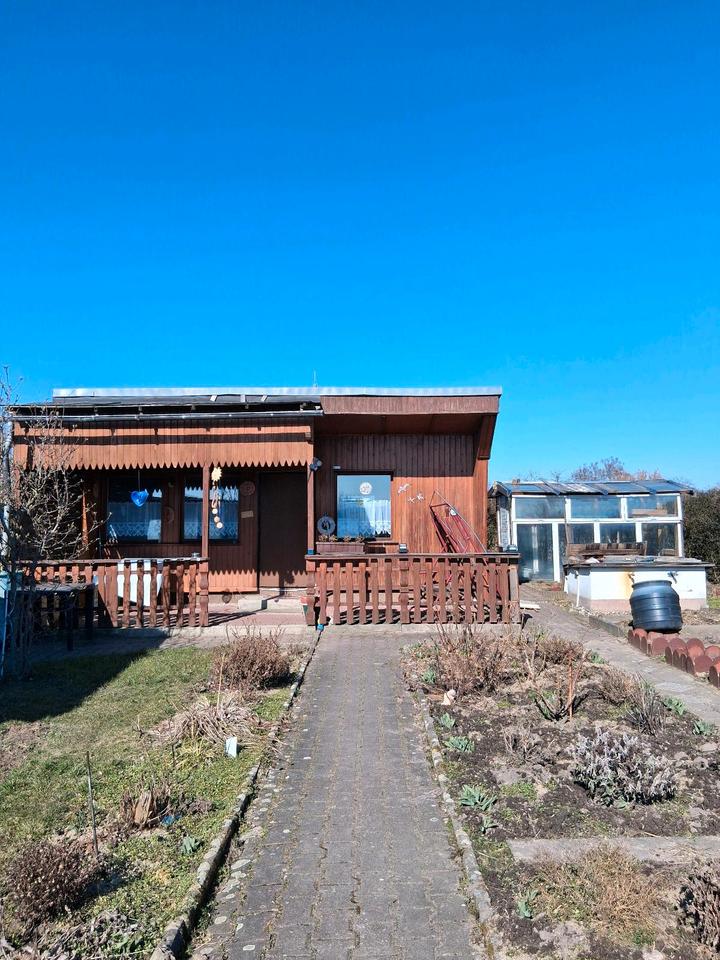 Thumbnail-Pachtgarten am Stadtrand von Torgau