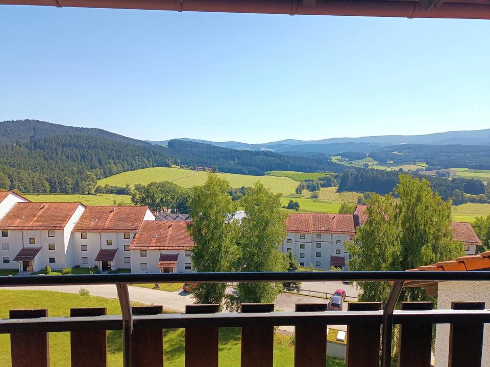 Thumbnail-Neu renovierte, helle Wohnung 58 m2 in Regen (Kattersdorf)