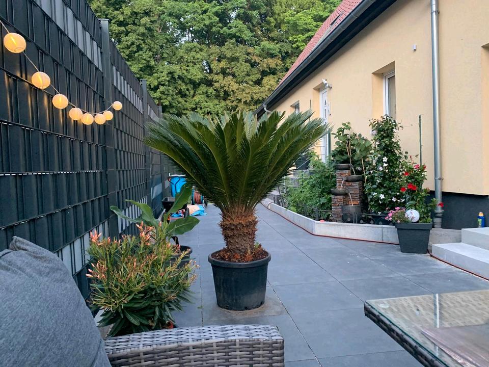 Thumbnail-Haus zu verkaufen