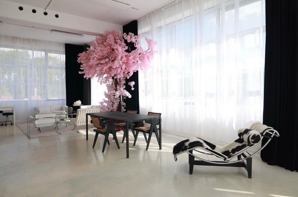 Thumbnail-Studio Membership für Fotografen & Content Creator