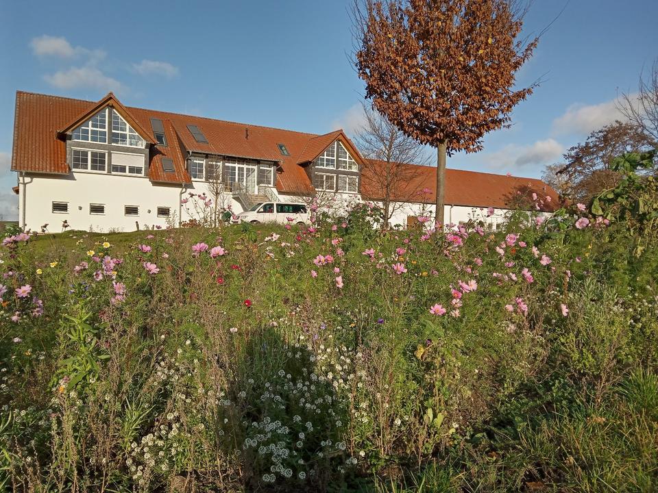 Thumbnail-3-Zi Wohnung + Wohnküche + schöne Aussicht in PareyHVL