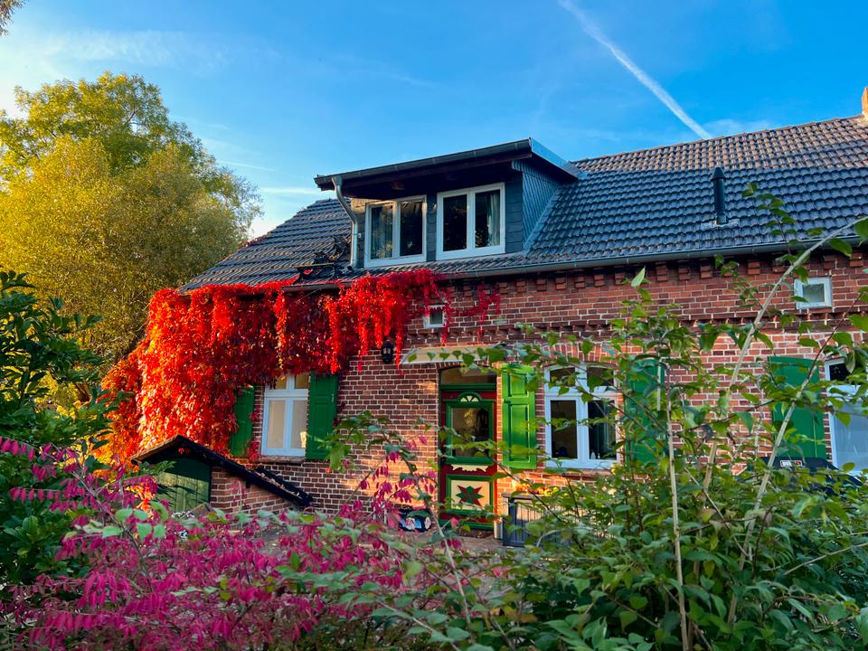 Thumbnail-Ferienhaus 