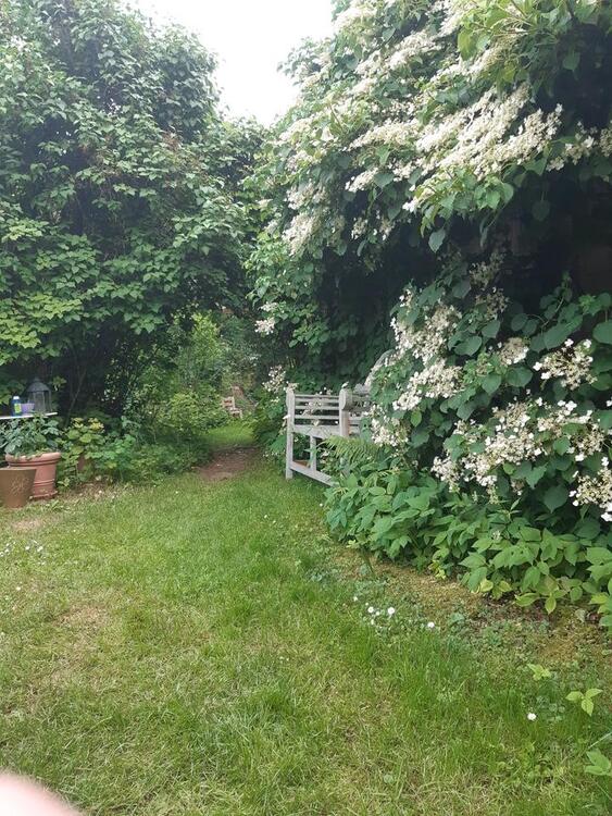 Thumbnail-Haus der vielen Möglichkeiten