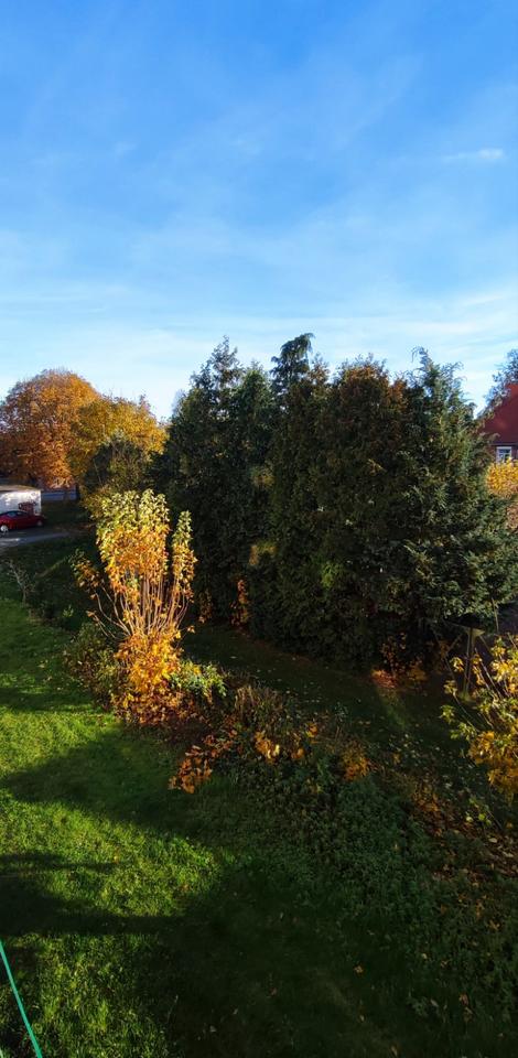 Thumbnail-Sehr gepflegte 4-Zimmer Wohnung in toller Hausgemeinschaft zu vermieten