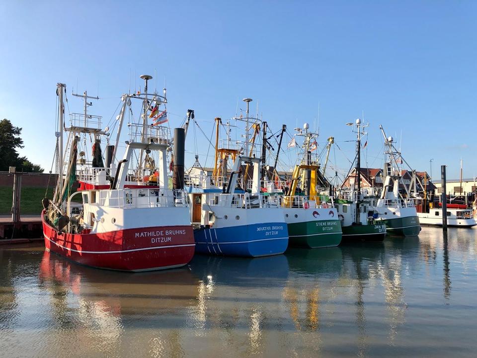 Thumbnail-Schöne Ferienwohnung in Ditzum Dollart Ostfriesland