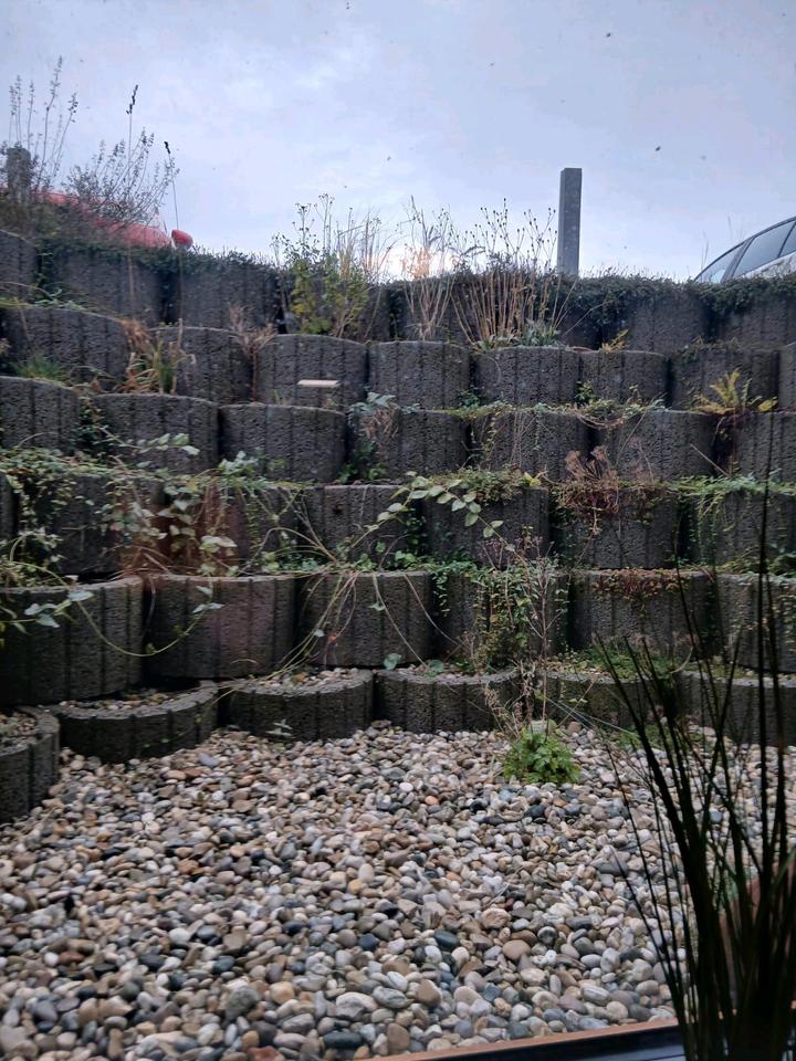 Thumbnail-2-Zimmer-Wohnung Souterrain, Hohe Qualität