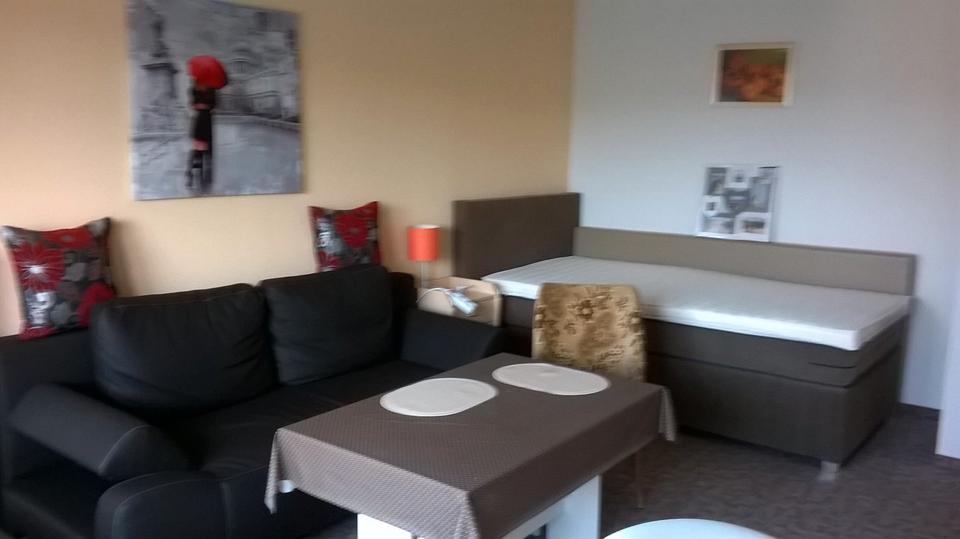 Thumbnail-Ein-Raum-Apartment