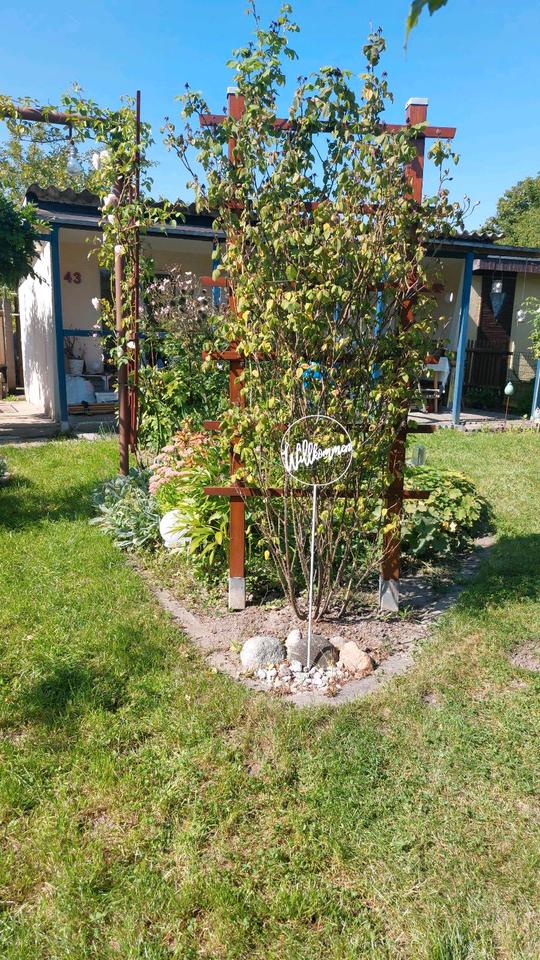 Thumbnail-Kleingarten abzugeben