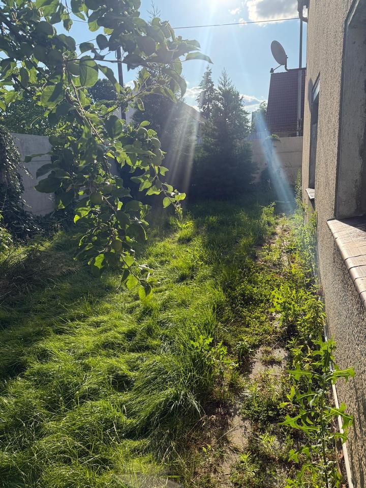 Thumbnail-Einfamilienhaus mit viel Platz von Privat inkl. Schmiede