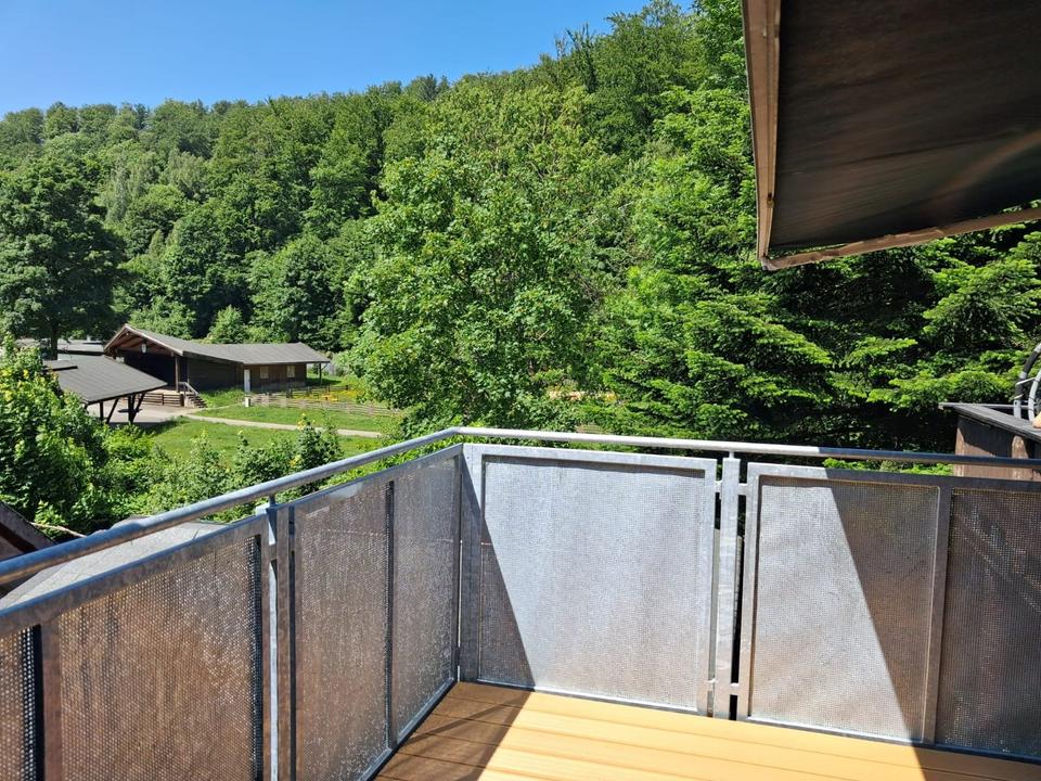 Thumbnail-schoene 2 Zi.Whg,Balkon,in Wieda,Waldblick,am Bach,Laminat