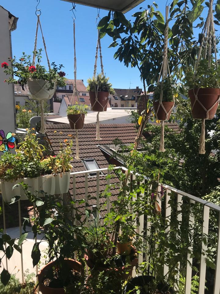 Thumbnail-Wohnung zur Zwischenmiete 18.12.-31.12.25