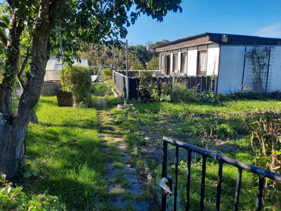 Thumbnail-Garten in Gartensparte Boddenblick mit solider Laube