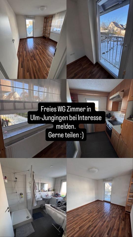 Thumbnail-WG-Zimmer in einer 4er-Studentinnen-WG zu vermieten