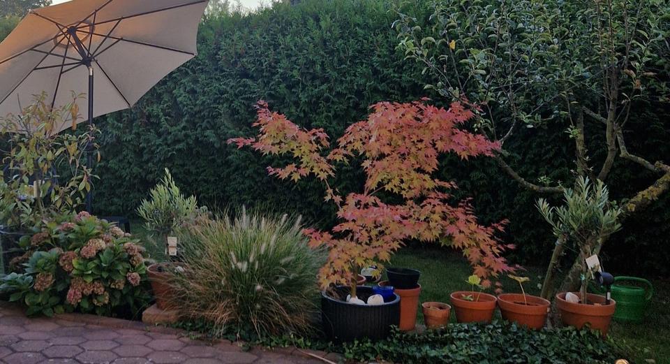 Thumbnail-Einfamilienhaus EFH Peine Schwicheldt 4 Zimmer mit Grundstück