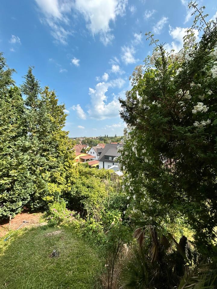 Thumbnail-Einmalige Gelegenheit in Weinsheim (Bad Kreuznach)