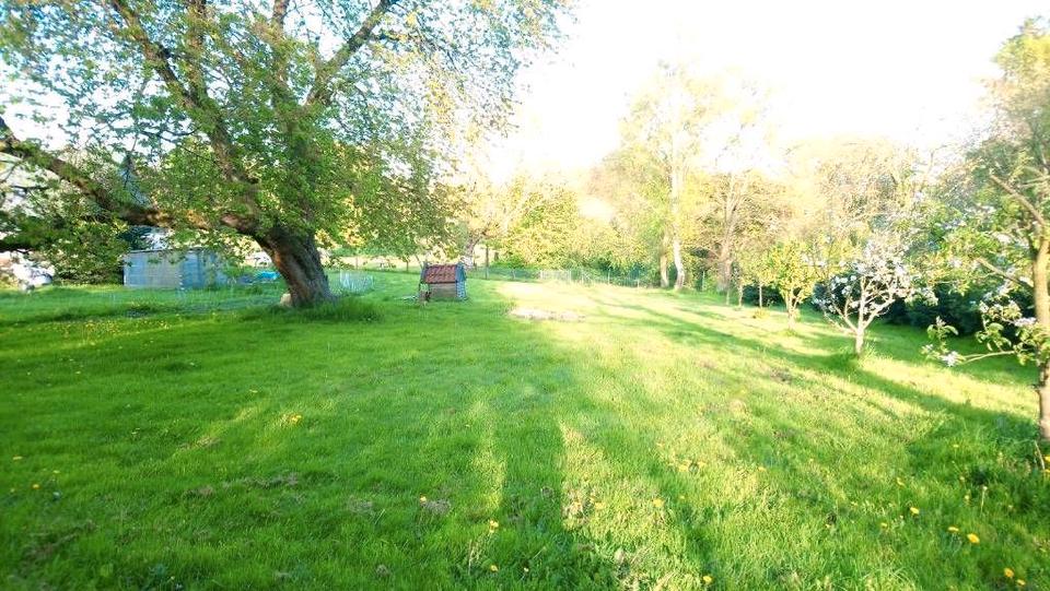 Thumbnail-Naturgrundstück 4100 m² mit Obstbäumen und Haus in Rensow