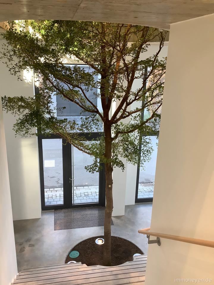 Thumbnail-Moderne Büroflächen in der Carderie in Wangen zu mieten