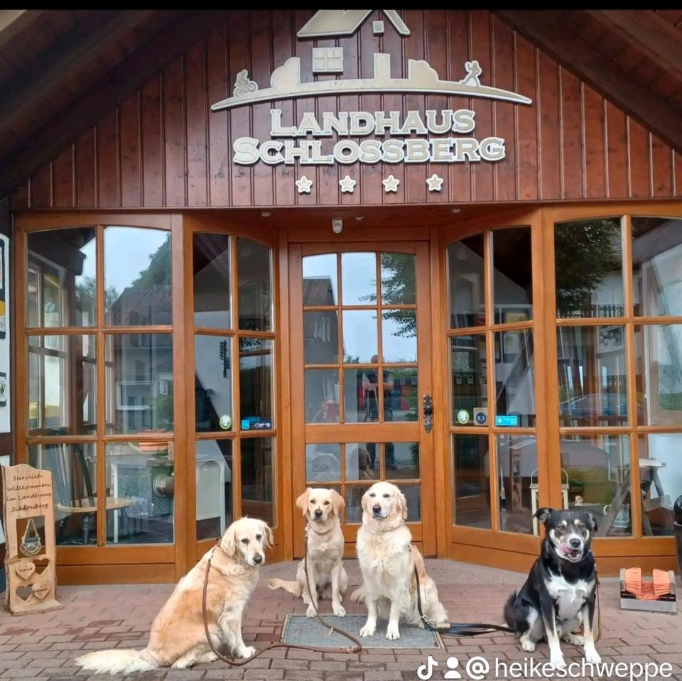 Thumbnail-Reisegutschein 2 Nächte Hochsauerland Nähe Winterberg mit Hund