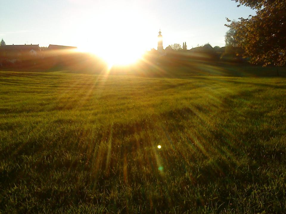 Thumbnail-Streuobstwiese Obstwiese Freizeitgrundstück - Liebhaberobjekt