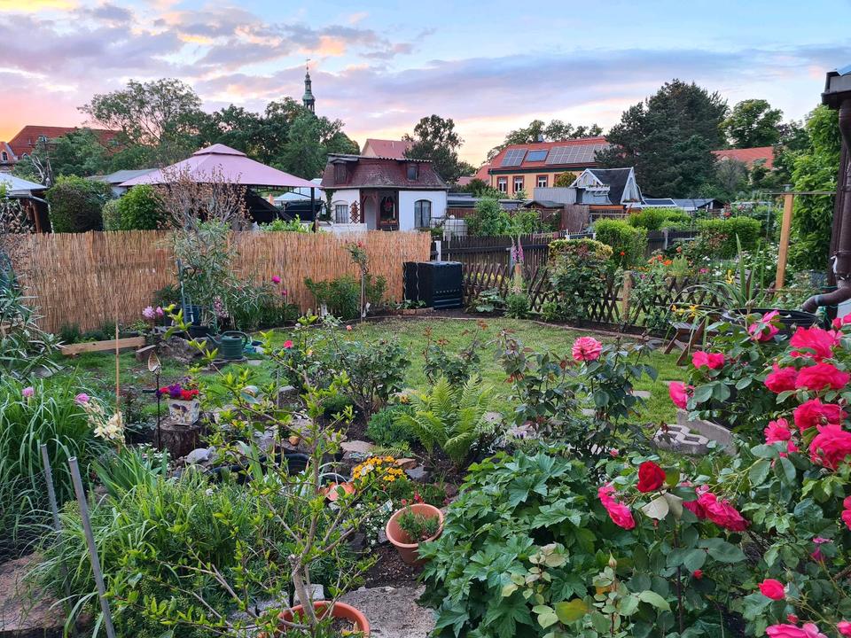 Thumbnail-Kleingarten