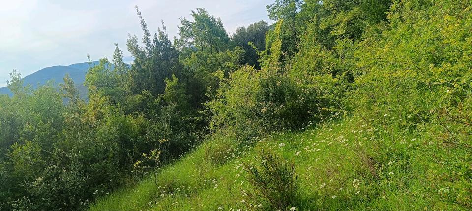 Thumbnail-Montenegro, Das Grundstück am Meer ist eine gute Investition