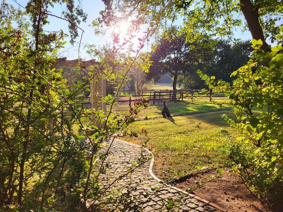 Thumbnail-Ferienwohnung in Mecklenburg