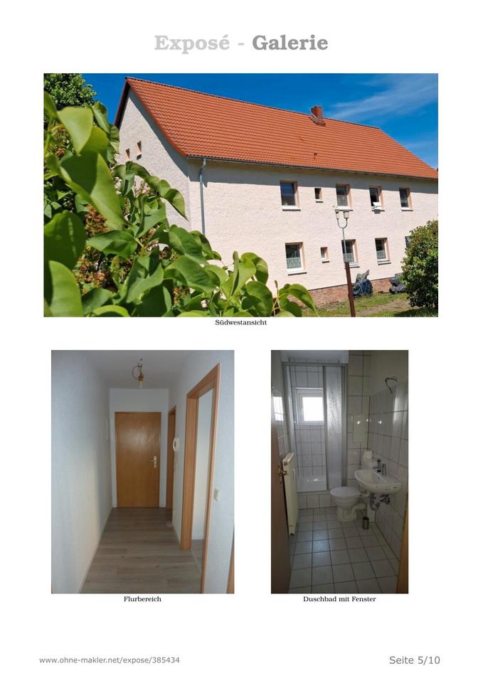 Thumbnail-2,5-Raumwohnung Erdgeschoß nach Kernsanierung in Mücheln mieten